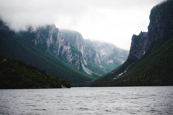 在西溪湖中 一个被雾覆盖的悬崖的美丽的镜头 — 图库照片