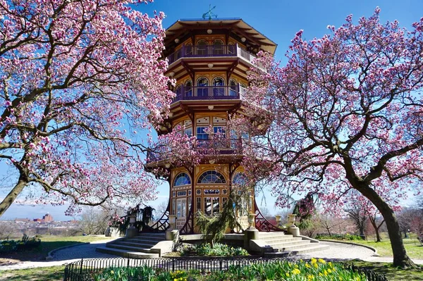 Patterson Park tapınağı çerçeveli pembe çiçekli manolya ağaçları