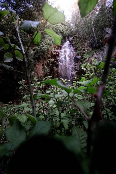 우림의 폭포를 수직으로 — 스톡 사진
