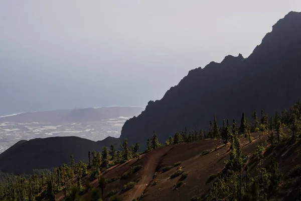 Vista Encosta Com Árvores Verdes Fundo Das Falésias Tenerife Espanha — Fotografia de Stock