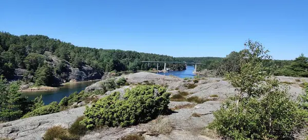 Een Panoramisch Uitzicht Een Rivier Die Door Het Bos Stroomt — Stockfoto
