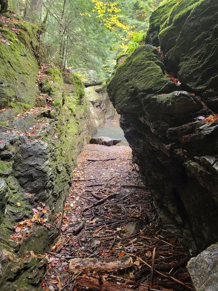 落ち葉や枝に覆われた秋の森の中の苔むした岩を抜ける細い道 — ストック写真