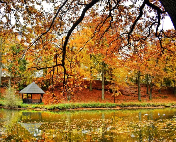 Ein Park Spiegelt Sich Herbst See Wider — Stockfoto