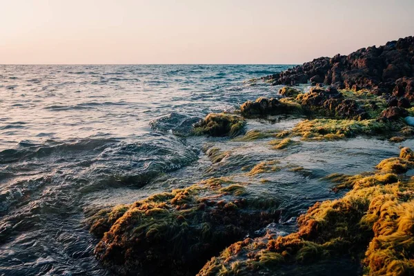 이끼덮인 바다에서 흐르는 아름다운 — 스톡 사진