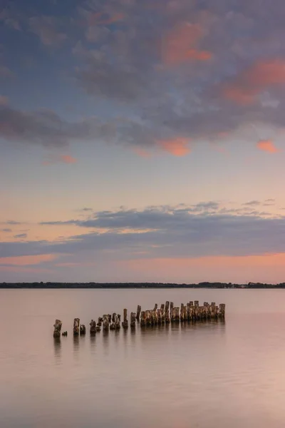 Eine Reihe Abgesägter Baumstämme Ufer Der Ostsee Bei Greifswald Deutschland — Stockfoto