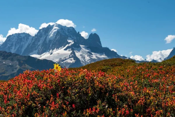 Güneşli Bir Günde Alplerdeki Dağların Manzarası — Stok fotoğraf