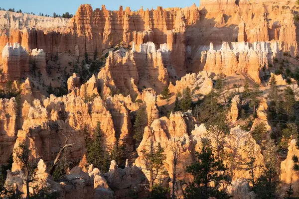 Den Vackra Klippformationen Bryce Canyon Utah Usa — Stockfoto