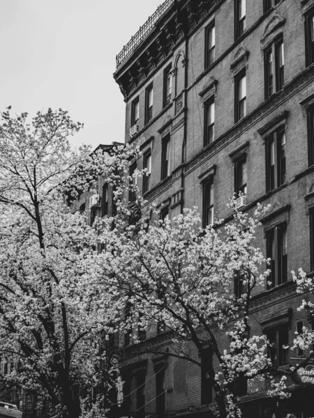 ニューヨークの高層ビルの白黒写真 — ストック写真