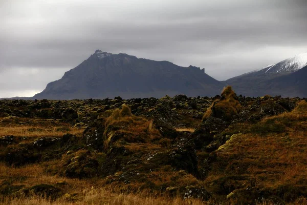 Θέα Του Βραχώδους Λιβαδιού Βουνά Στο Βάθος Snaefellsnes Ισλανδία — Φωτογραφία Αρχείου