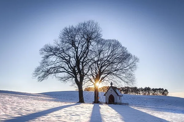 一片白雪覆盖的田野 背景上有树木和一座小建筑 — 图库照片
