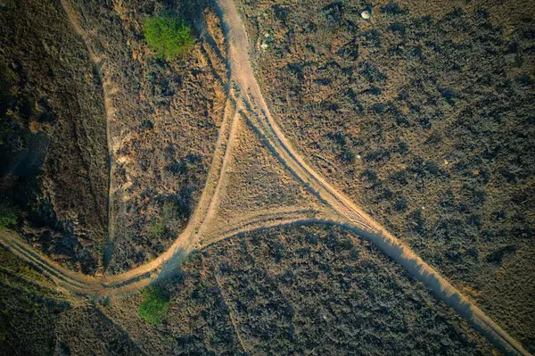 Вид Воздуха Дороги Окруженные Густыми Деревьями — стоковое фото
