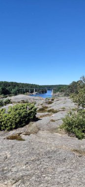 Ormanda akan bir nehrin dikey görüntüsü.