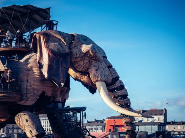 Halk Fransa 'nın Nantes kentindeki bir parkta Büyük Fil' de toplandı.