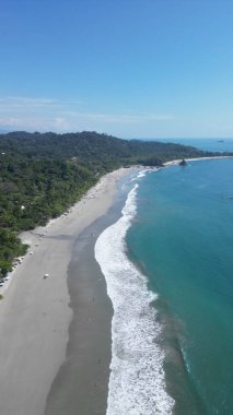 Güneşli bir günde kumsalın bir ormanla kaplı havadan çekilmiş görüntüsü.