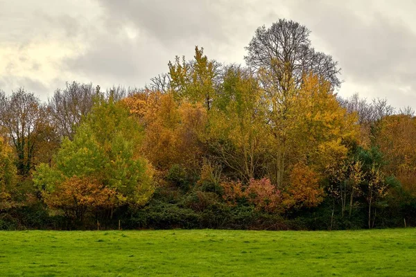 Autumn Trees Cloudy Sky Isle Wight — Stock Photo, Image
