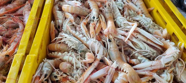 Primer Plano Los Camarones Mercado Pescado Croacia —  Fotos de Stock