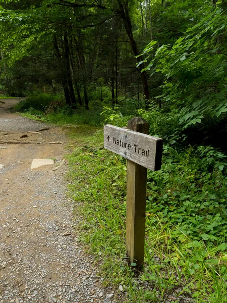 Belo Tiro Sinal Madeira Com Texto Nature Trail Uma Floresta — Fotografia de Stock
