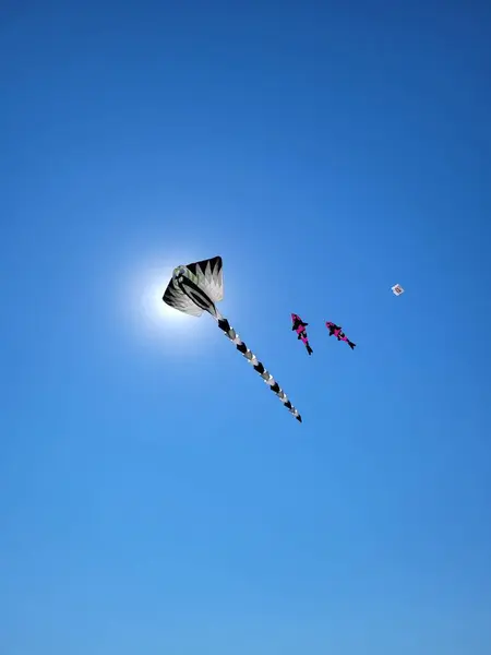 Vertical Shot Fish Looking Kites Flying Blue Sky — Stock Photo, Image