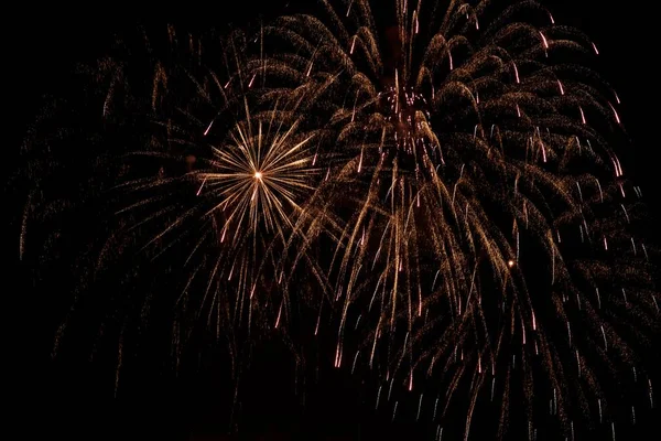 Scenic Shot Bright Fireworks Dark Night Sky — Stock Photo, Image