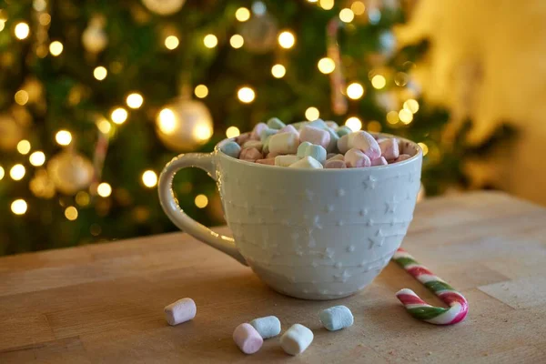 Primo Piano Cioccolata Calda Con Marshmallow Concetto Vacanze — Foto Stock