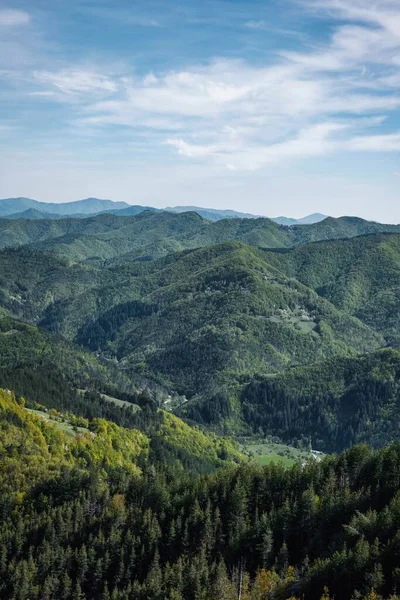 青空の下で緑の木々の丘の美しい垂直方向の景色 — ストック写真