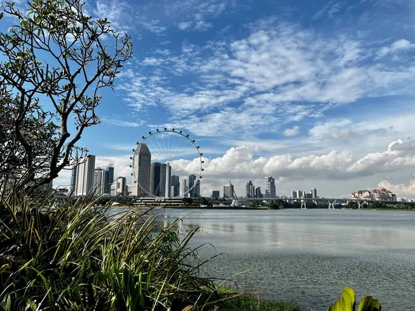 Gyönyörű Kilátás Singapore Flyers — Stock Fotó