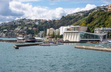 Wellington, Yeni Zelanda, Clyde Quay apartmanlarından izleniyor.