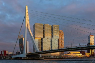Rotterdam 'ın kasvetli silueti ünlü Erasmus köprü mimarisinin bir kısmıyla ve günbatımında tipik modern gökdelenlerin arkasında.