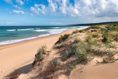 Waitpinga 'nın güney sahilindeki kumlu bir sahilde köpüklü deniz dalgaları, Güney Avustralya