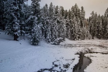 Karla kaplı donmuş bir göl.