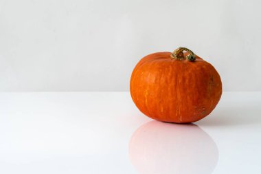 Beyaz arka planda izole bir kabak