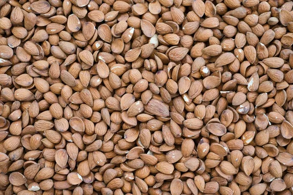 Seeds Sweet Almonds Wooden Table — Stock Photo, Image