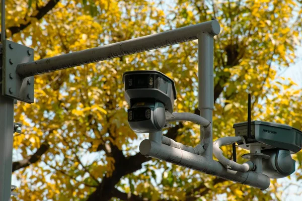 背景に木のある通りのカメラのクローズアップ — ストック写真