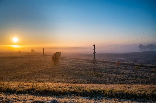 View Field Powerlines Sunset — Stock Photo, Image