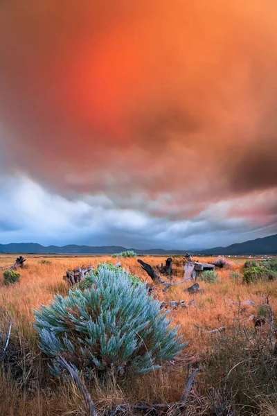 Vertikální Záběr Pole Pod Mraky Divokého Ohně Washoe Valley Nevadě — Stock fotografie