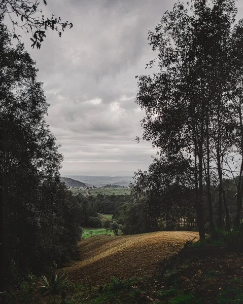 Ein Vertikaler Schuss Grüner Bäume Hügeln Unter Bewölktem Himmel — Stockfoto