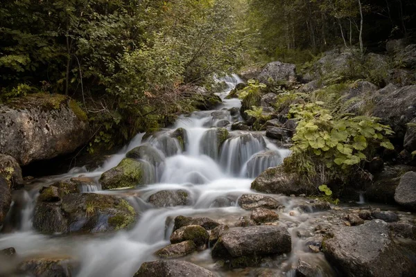 Long Exposure View Water Cascading Rocks Forest — Stock Photo, Image