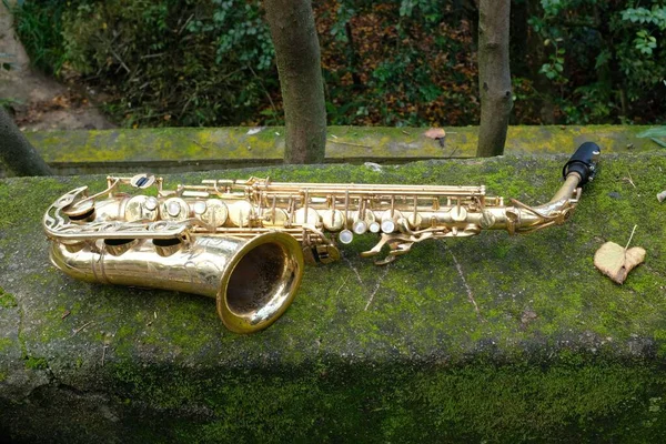 Een Close Shot Van Een Saxofoon Een Mossig Betonnen Oppervlak — Stockfoto