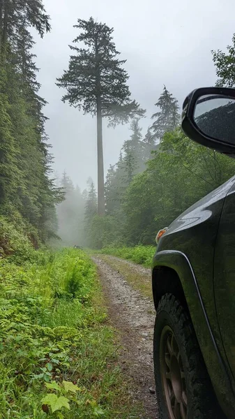 Egy Függőleges Felvétel Egy Autóról Amint Egy Ködös Erdőben Lovagol — Stock Fotó