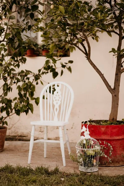 Tiro Vertical Uma Cadeira Branca Lado Uma Árvore Vaso Fundo — Fotografia de Stock