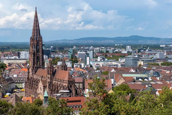 Een Luchtfoto Van Freiburger Munster Kathedraal Middeleeuwse Gebouwen Duitsland — Stockfoto