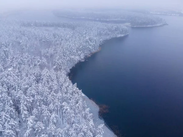 Vzdušný Záběr Zasněžených Jedlových Stromů Poblíž Zamrzlého Jezera Mlhavého Dne — Stock fotografie