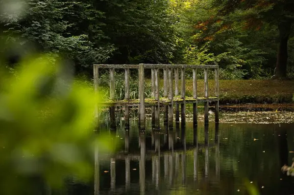 Piękny Widok Starego Drewnianego Molo Jeziorze Środku Lasu — Zdjęcie stockowe