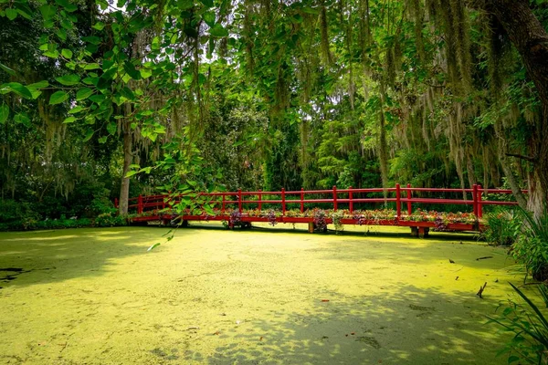 サウスカロライナ州の苔むした池の上の赤い橋の美しいショット — ストック写真