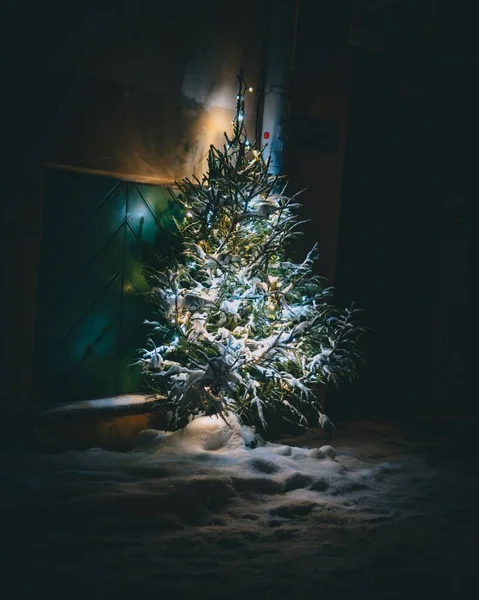 Žhnoucí Vánoční Stromek Poblíž Budovy Noci — Stock fotografie