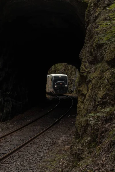 Pionowe Dramatyczne Ujęcie Pociągu Jadącego Przez Tunel Zielonym Lesie Deszczowym — Zdjęcie stockowe