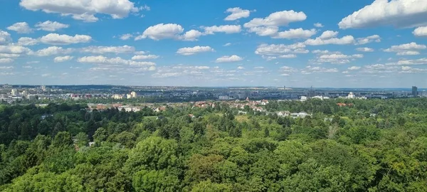 Воздушный Городской Пейзаж Зелеными Деревьями Солнечный День — стоковое фото