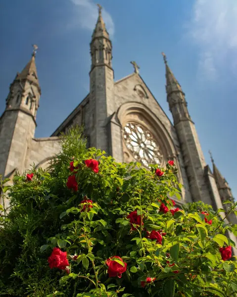 Eine Vertikale Aufnahme Einer Gotischen Kathedrale — Stockfoto