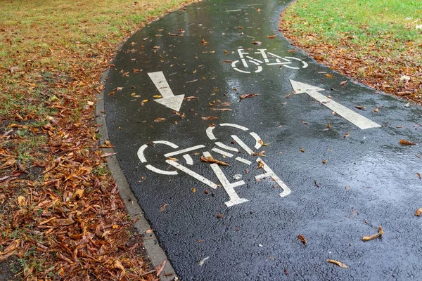 Vista Alto Ângulo Dos Sinais Bicicleta Caminho Molhado Dia Outono — Fotografia de Stock