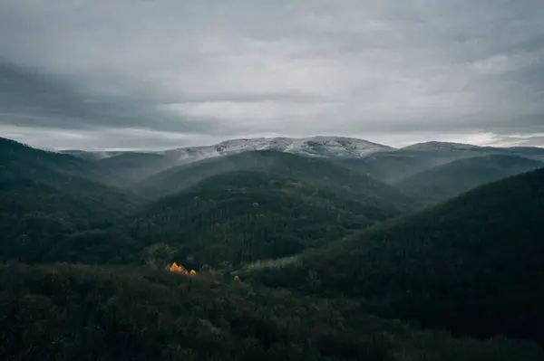 曇りの日に森の丘の牧歌的な風景 — ストック写真